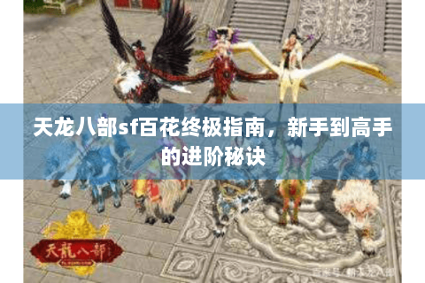 天龙八部sf百花终极指南,新手到高手的进阶秘诀 天龙八部sf百花终极指南,新手到高手的进阶秘诀