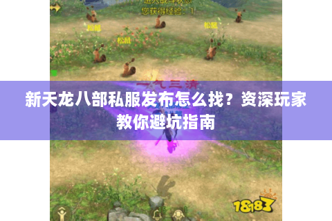 新天龙八部私服发布怎么找?资深玩家教你避坑指南 新天龙八部私服发布怎么找?资深玩家教你避坑指南