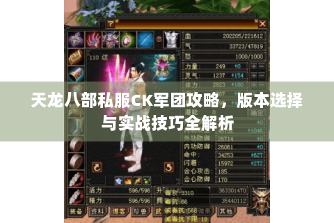 天龙八部私服CK军团攻略，版本选择与实战技巧全解析