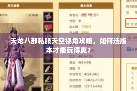 天龙八部私服天空视角攻略，如何选版本才能玩得爽？