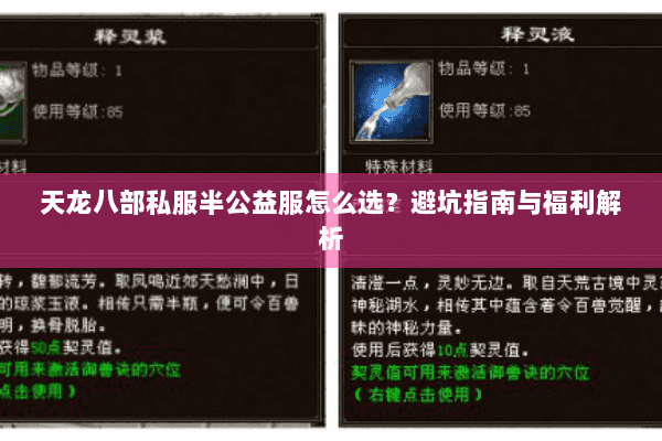 天龙八部私服半公益服怎么选？避坑指南与福利解析
