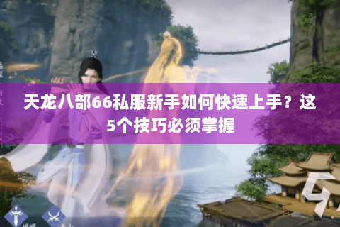 天龙八部66私服新手如何快速上手?这5个技巧必须掌握 天龙八部66私服新手如何快速上手?这5个技巧必须掌握