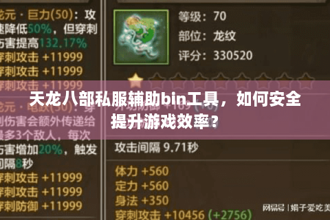 天龙八部私服辅助bin工具，如何安全提升游戏效率？
