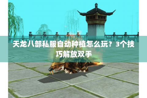 天龙八部私服自动种植怎么玩?3个技巧解放双手 天龙八部私服自动种植怎么玩?3个技巧解放双手