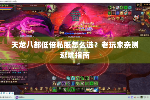 天龙八部低倍私服怎么选？老玩家亲测避坑指南