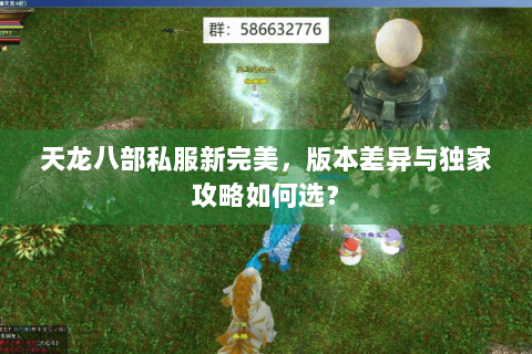 天龙八部私服新完美,版本差异与独家攻略如何选? 天龙八部私服新完美,版本差异与独家攻略如何选?