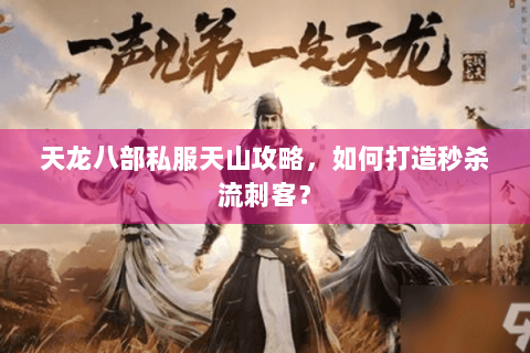 天龙八部私服天山攻略，如何打造秒杀流刺客？