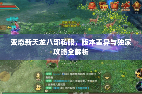 变态新天龙八部私服,版本差异与独家攻略全解析 变态新天龙八部私服,版本差异与独家攻略全解析