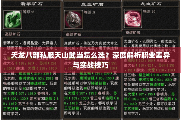天龙八部私服天山武当怎么选?深度解析职业差异与实战技巧 天龙八部私服天山武当怎么选?深度解析职业差异与实战技巧