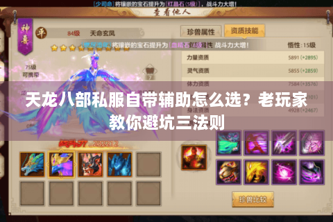 天龙八部私服自带辅助怎么选?老玩家教你避坑三法则 天龙八部私服自带辅助怎么选?老玩家教你避坑三法则