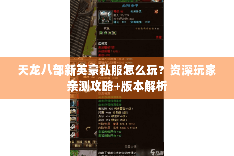 天龙八部新英豪私服怎么玩?资深玩家亲测攻略+版本解析 天龙八部新英豪私服怎么玩?资深玩家亲测攻略+版本解析