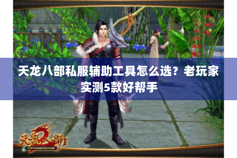 天龙八部私服辅助工具怎么选?老玩家实测5款好帮手 天龙八部私服辅助工具怎么选?老玩家实测5款好帮手