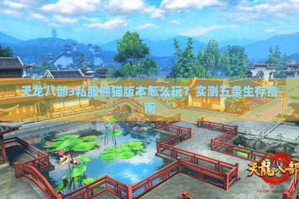 天龙八部3私服熊猫版本怎么玩？实测五条生存指南