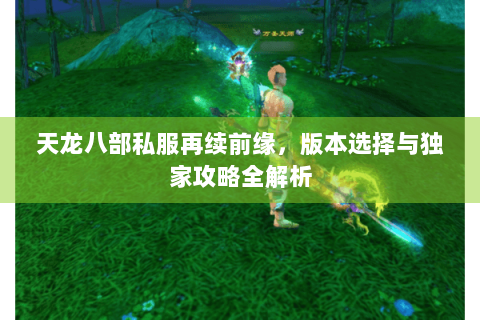 天龙八部私服再续前缘,版本选择与独家攻略全解析 天龙八部私服再续前缘,版本选择与独家攻略全解析