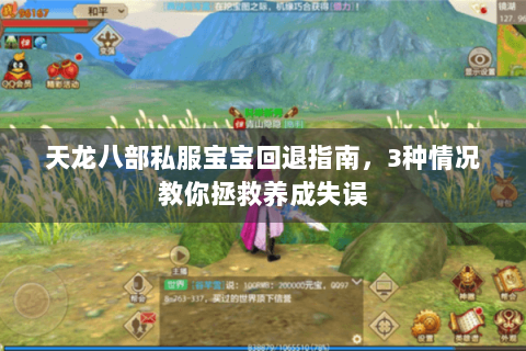 天龙八部私服宝宝回退指南,3种情况教你拯救养成失误 天龙八部私服宝宝回退指南,3种情况教你拯救养成失误
