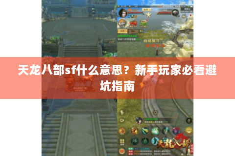 天龙八部sf什么意思？新手玩家必看避坑指南