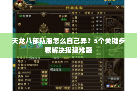 天龙八部私服怎么自己弄?5个关键步骤解决搭建难题 天龙八部私服怎么自己弄?5个关键步骤解决搭建难题