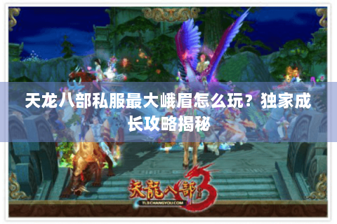 天龙八部私服最大峨眉怎么玩？独家成长攻略揭秘