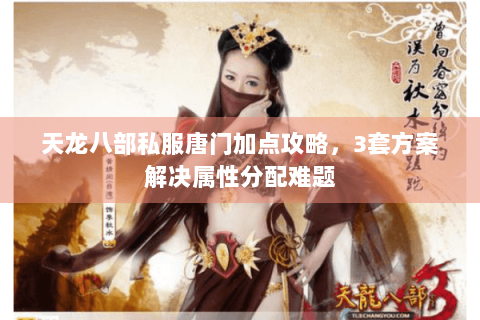 天龙八部私服唐门加点攻略,3套方案解决属性分配难题 天龙八部私服唐门加点攻略,3套方案解决属性分配难题