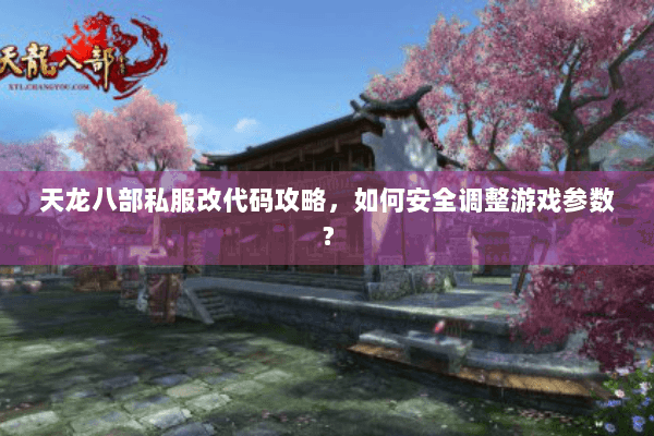天龙八部私服改代码攻略，如何安全调整游戏参数？