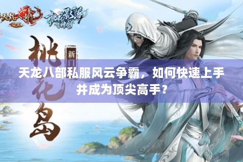 天龙八部私服风云争霸，如何快速上手并成为顶尖高手？