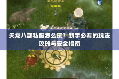 天龙八部私服怎么玩?新手必看的玩法攻略与安全指南 天龙八部私服怎么玩?新手必看的玩法攻略与安全指南