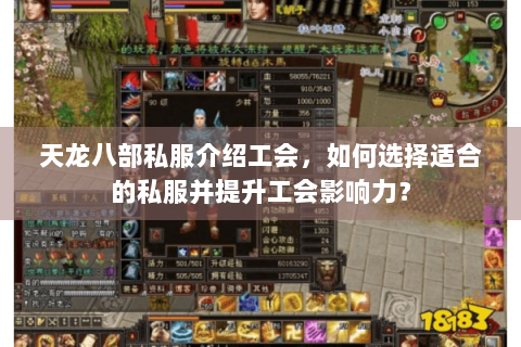 天龙八部私服介绍工会，如何选择适合的私服并提升工会影响力？