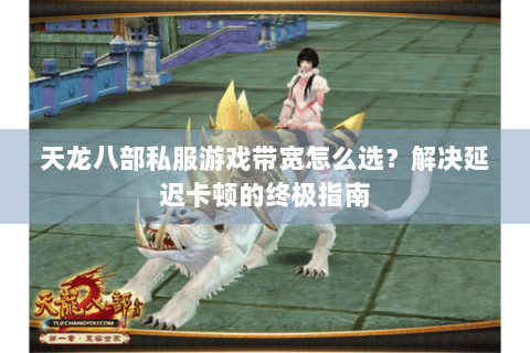 天龙八部私服游戏带宽怎么选？解决延迟卡顿的终极指南