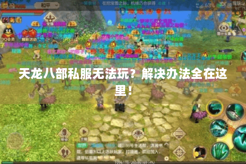 天龙八部私服无法玩?解决办法全在这里! 天龙八部私服无法玩?解决办法全在这里!