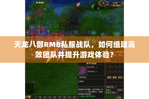 天龙八部RMB私服战队,如何组建高效团队并提升游戏体验? 天龙八部RMB私服战队,如何组建高效团队并提升游戏体验?
