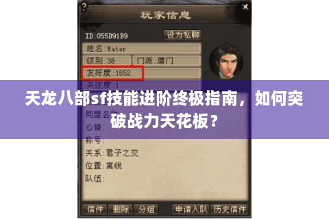 天龙八部sf技能进阶终极指南，如何突破战力天花板？