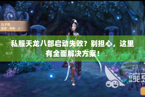 私服天龙八部启动失败?别担心,这里有全面解决方案! 私服天龙八部启动失败?别担心,这里有全面解决方案!