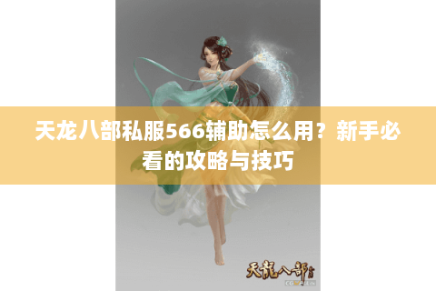 天龙八部私服566辅助怎么用？新手必看的攻略与技巧