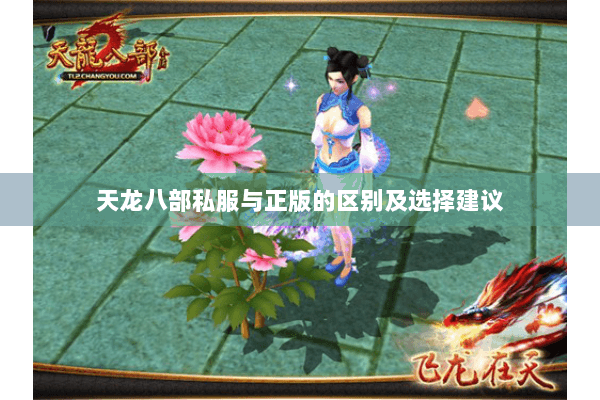 天龙八部私服与正版的区别及选择建议