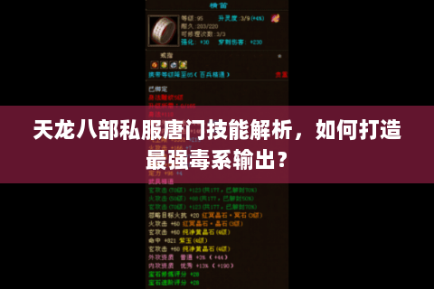 天龙八部私服唐门技能解析,如何打造最强毒系输出? 天龙八部私服唐门技能解析,如何打造最强毒系输出?