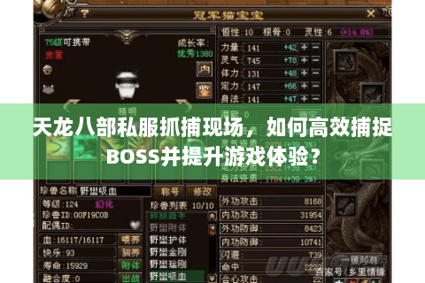 天龙八部私服抓捕现场，如何高效捕捉BOSS并提升游戏体验？