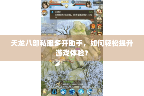 天龙八部私服多开助手，如何轻松提升游戏体验？